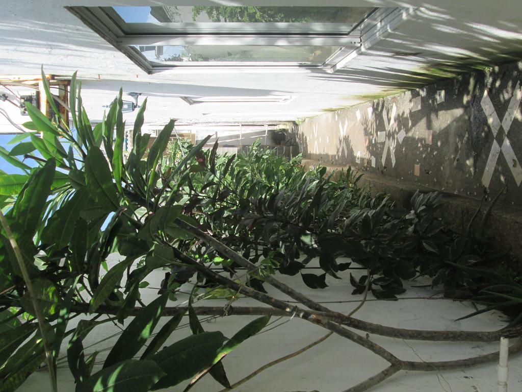 Hostal Poseidon Del Mar San Andres  Exterior photo